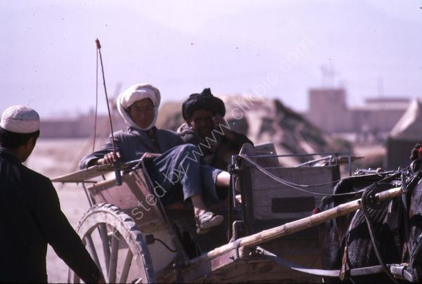 Afghani Farmer in Horse & Cart, Camel Market, Kabul